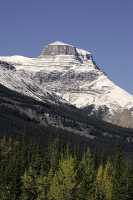 Icefields Parkway, 2011, Banff & Jasper National Parks, Alberta, Canada CM11-004