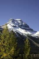 Icefields Parkway, 2011, Banff & Jasper National Parks, Alberta, Canada CM11-007