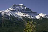 Icefields Parkway, 2011, Banff & Jasper National Parks, Alberta, Canada CM11-010