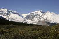 Icefields Parkway, 2011, Banff & Jasper National Parks, Alberta, Canada CM11-015