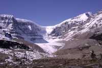 Icefields Parkway, 2011, Banff & Jasper National Parks, Alberta, Canada CM11-020