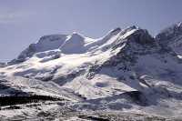 Icefields Parkway, 2011, Banff & Jasper National Parks, Alberta, Canada CM11-021