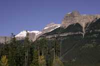 Icefields Parkway, 2011, Banff & Jasper National Parks, Alberta, Canada CM11-025