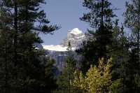 Icefields Parkway, 2011, Banff & Jasper National Parks, Alberta, Canada CM11-026