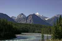 Icefields Parkway, 2011, Banff & Jasper National Parks, Alberta, Canada CM11-031