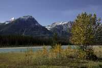 Icefields Parkway, 2011, Banff & Jasper National Parks, Alberta, Canada CM11-032