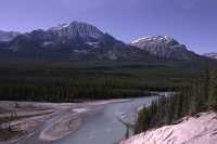 Icefields Parkway, 2011, Banff & Jasper National Parks, Alberta, Canada CM11-038