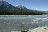 Icefields Parkway, 2011, Banff & Jasper National Parks, Alberta, Canada CM11-039