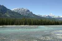 Icefields Parkway, 2011, Banff & Jasper National Parks, Alberta, Canada CM11-040