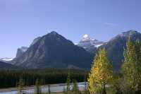 Icefields Parkway, 2011, Banff & Jasper National Parks, Alberta, Canada CM11-043