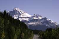 Icefields Parkway, 2011, Banff & Jasper National Parks, Alberta, Canada CM11-049