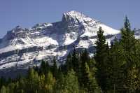 Icefields Parkway, 2011, Banff & Jasper National Parks, Alberta, Canada CM11-050