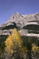 Icefields Parkway, 2011, Banff & Jasper National Parks, Alberta, Canada CM11-051