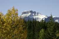 Icefields Parkway, 2011, Banff & Jasper National Parks, Alberta, Canada CM11-052