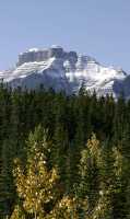 Icefields Parkway, 2011, Banff & Jasper National Parks, Alberta, Canada CM11-053