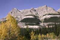Icefields Parkway, 2011, Banff & Jasper National Parks, Alberta, Canada CM11-054