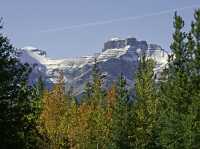 Icefields Parkway, 2011, Banff & Jasper National Parks, Alberta, Canada CM11-058