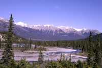 Icefields Parkway, 2011, Banff & Jasper National Parks, Alberta, Canada CM11-059