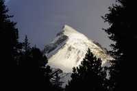 Icefields Parkway, 2011, Banff & Jasper National Parks, Alberta, Canada CM11-062