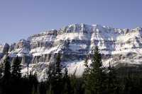 Icefields Parkway, 2011, Banff & Jasper National Parks, Alberta, Canada CM11-064