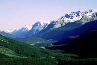 Icefields Parkway, 2011, Banff & Jasper National Parks, Alberta, Canada CM11-066