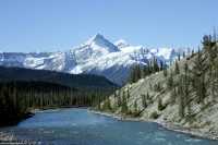 Icefields Parkway, 2011, Banff & Jasper National Parks, Alberta, Canada CM11-079