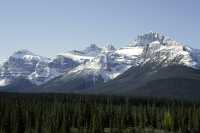 Icefields Parkway, 2011, Banff & Jasper National Parks, Alberta, Canada CM11-080