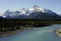 Icefields Parkway, 2011, Banff & Jasper National Parks, Alberta, Canada CM11-081