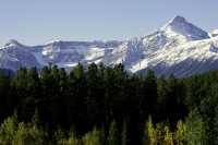 Icefields Parkway, 2011, Banff & Jasper National Parks, Alberta, Canada CM11-083