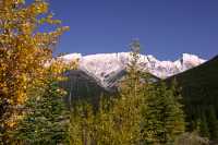 Icefields Parkway, Fall 2010, Banff and Jasper National Parks, Alberta, Canada CM11-001
