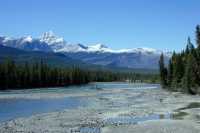 Icefields Parkway, Fall 2010, Banff and Jasper National Parks, Alberta, Canada CM11-005