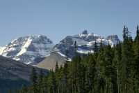 Icefields Parkway, Fall 2010, Banff and Jasper National Parks, Alberta, Canada CM11-008