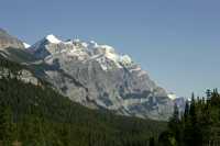 Icefields Parkway, Fall 2010, Banff and Jasper National Parks, Alberta, Canada CM11-012