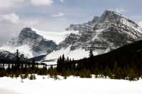 Crowsfoot Glacier, Icefields Parkway, Spring 2009, Banff National Park, Alberta CM11-34