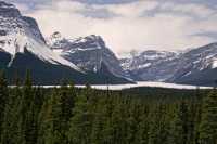 Hector Lake, Icefields Parkway, Spring 2009, Banff National Park, Alberta CM11-33