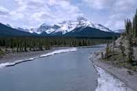 Icefields Parkway, Spring 2009, Banff National Park, Alberta CM11-23