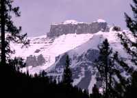Icefields Parkway, Spring 2009, Banff National Park, Alberta CM11-25