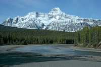 Icefields Parkway, Spring 2009, Jasper National Park, Alberta CM11-10