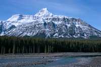 Icefields Parkway, Spring 2009, Jasper National Park, Alberta CM11-11