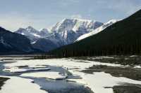 Icefields Parkway, Spring 2009, Jasper National Park, Alberta CM11-15