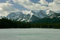 Herbert Lake, Icefield Parkway, Banff National Park CM11-004