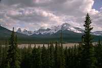 Icefields Parkway, Banff National Park CM11-007