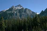 Icefields Parkway, Banff National Park CM11-009