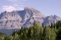 Icefields Parkway September 2009, Jasper National Park CM-003