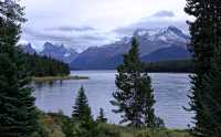 Icefields Parkway September 2009, Jasper National Park CM-004