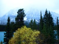 Icefields Parkway, Banff National Park, Alberta, Canada 24