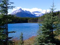 Herbert Lake, Icefields Parkway, Banff National Park, Alberta, Canada 26