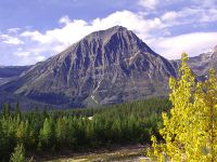 Icefields Parkway, Jasper National Park, Alberta, Canada 11