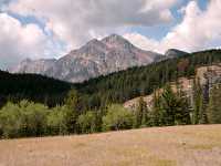 Jasper National Park, Alberta, Canada CM11-04