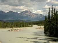 Jasper National Park, Alberta, Canada CM11-01